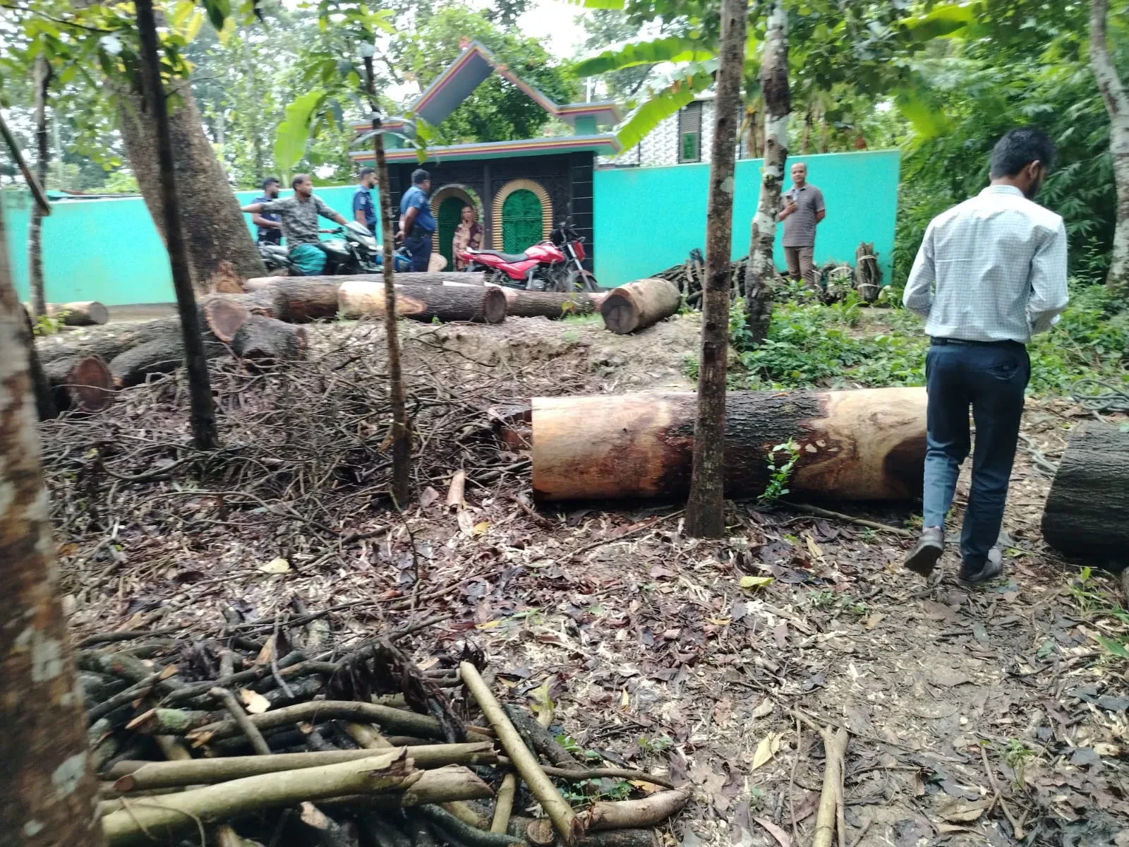 কাটা গাছের গুঁড়ির পেছনে একটি বাড়ির সামনে পুলিশ সদস্য ও স্থানীয় লোকজন